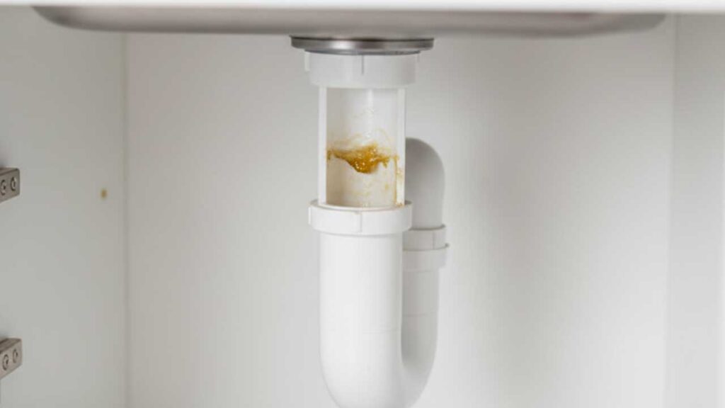 キッチンの排水口に詰まった油汚れ